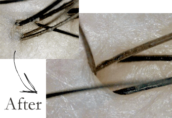 シャンプー前の新習慣