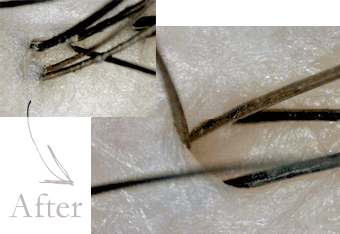 シャンプー前の新習慣