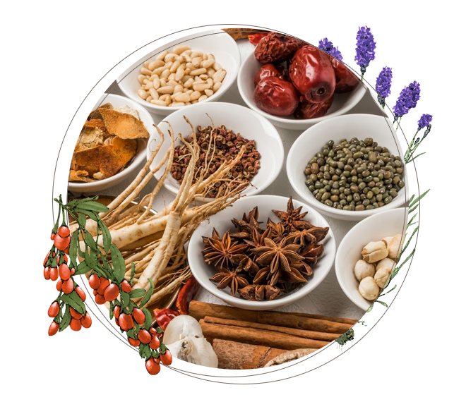 生薬エキス配合