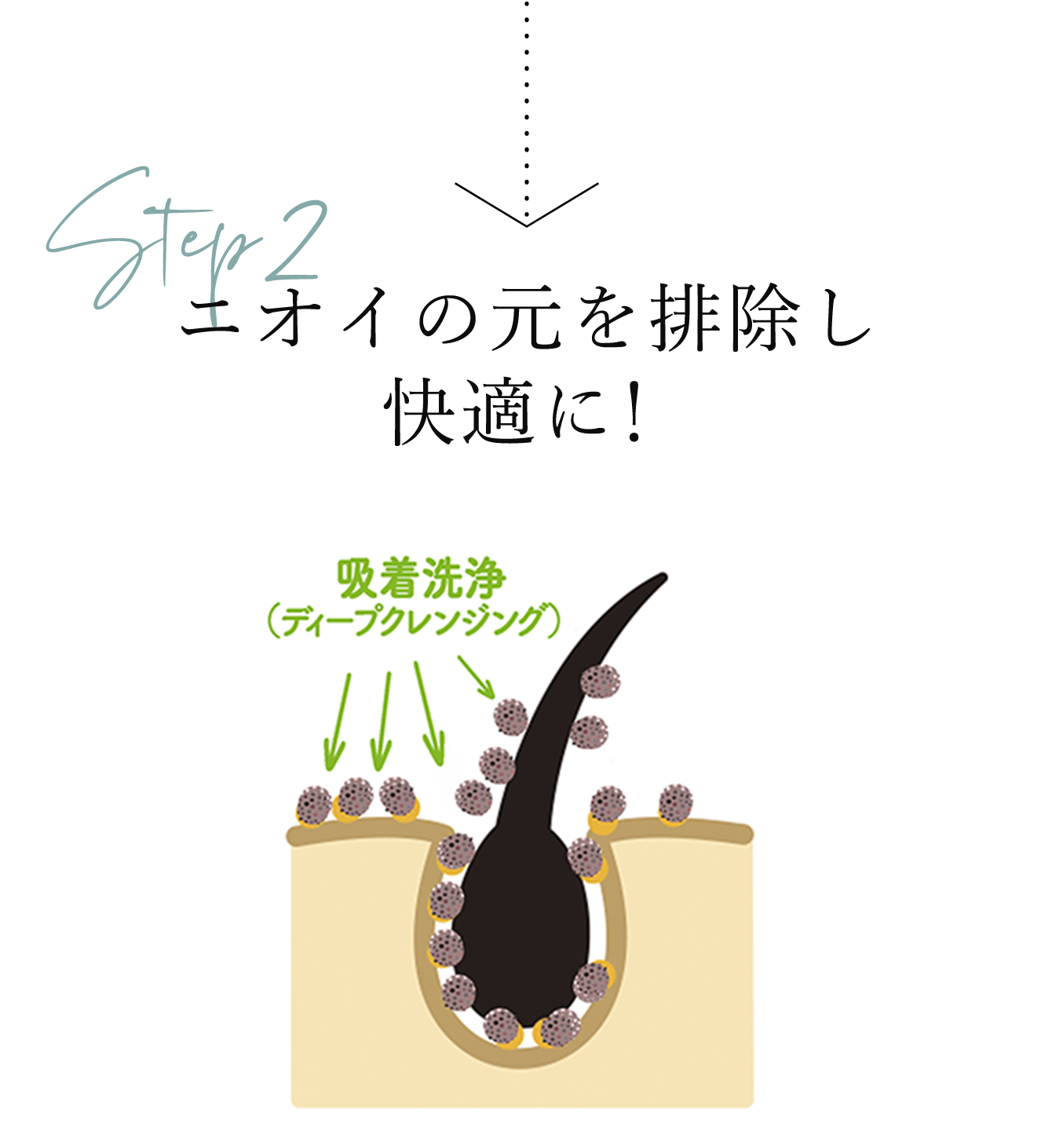 ニオイの元を排除し快適に!