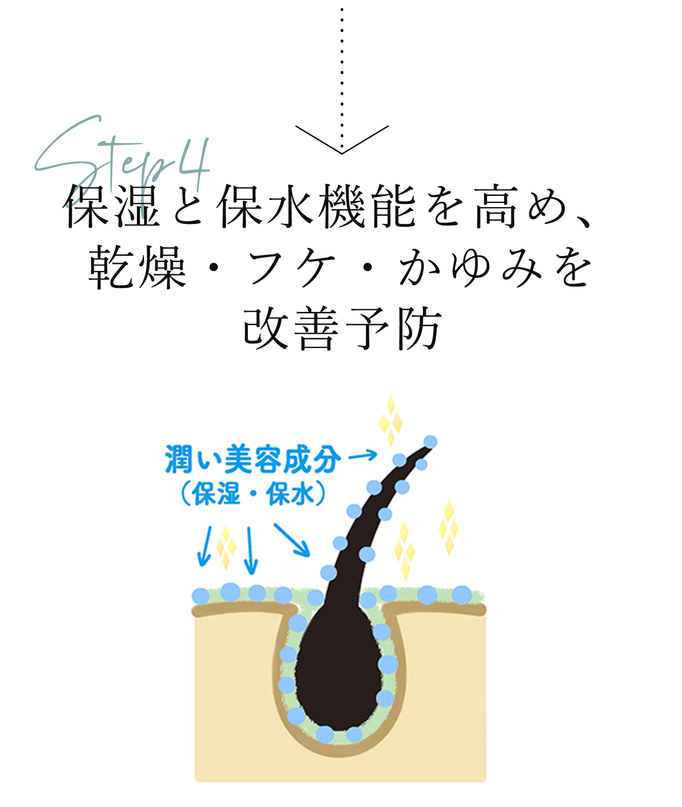 保湿と保水機能を高め、乾燥・フケ・かゆみを改善予防