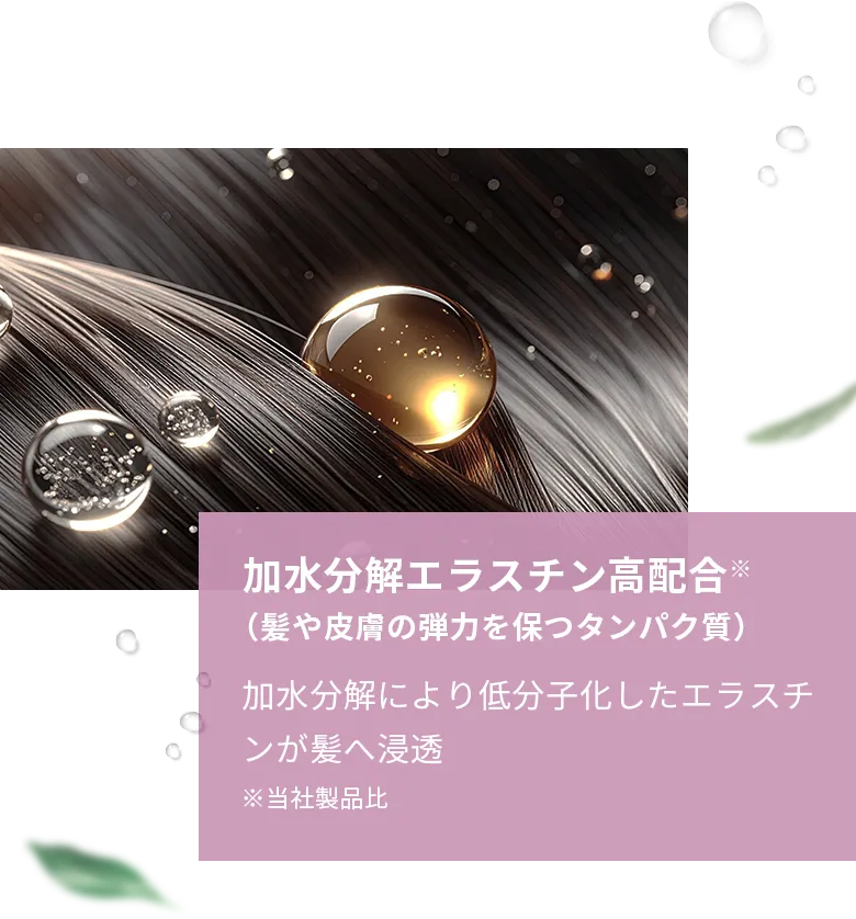 加水分解エラスチン高配合（髪や皮膚の弾力を保つタンパク質）