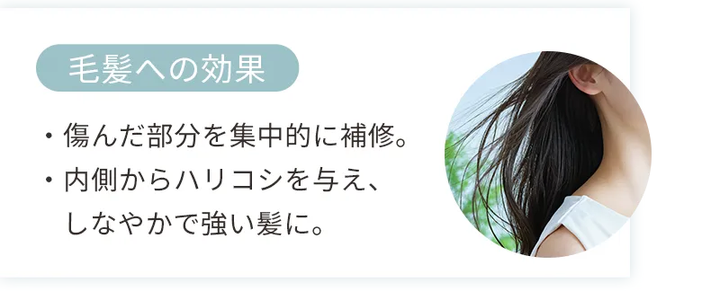 毛髪への効果