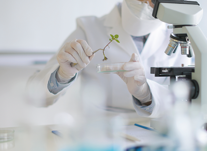 漢方に使われる成分が環境を整える